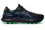 Мужские кроссовки для бега Asics GEL-CUMULUS 24 GTX 2023 Фото 1