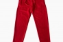 Брюки Gap Logo Fleece Joggers Red 221236291 Фото 9