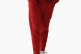 Брюки Gap Logo Fleece Joggers Red 221236291 Фото 15
