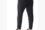 Штани чоловічі Gap Logo Fleece Pants Grey 221236011-2 Фото 48