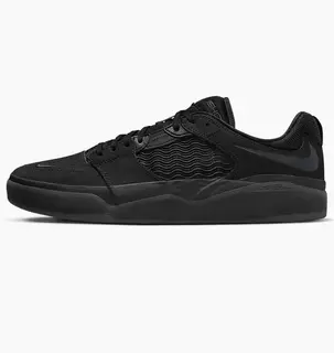 Кроссовки Nike Sb Ishod Wair Premium Black Dz5648-001