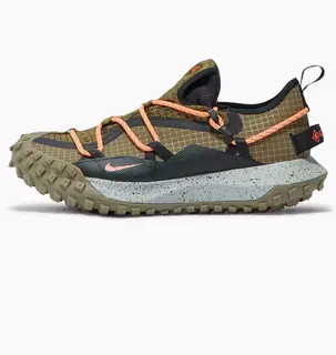 Кросівки Nike Acg Mountain Fly Low Sneaker Olive DD2861-200