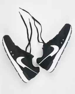 Кросівки чоловічі Nike VENTURE RUNNER CK2944-002