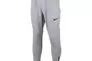 Брюки Nike M NP TF NPC THRMA SPHR MAX PNT DD1880-010 Фото 1