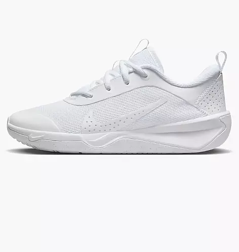 Кроссовки Nike OMNI MULTI-COURT (GS) DM9027-100 фото 1 — интернет-магазин Tapok