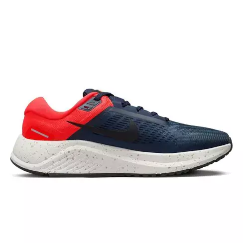 Кроссовки Nike AIR ZOOM STRUCTURE 24 DA8535-403 фото 1 — интернет-магазин Tapok