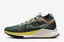 Кроссовки мужские Nike React Pegasus Trail 4 Gtx (FD0317-333) Фото 1