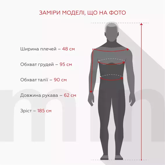 Сорочка з візерунком чоловіча Jean Piere JP8426-B Синій фото 5 — інтернет-магазин Tapok