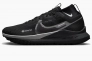 Кросівки Nike React Pegasus Trail 4 Gore-Tex Black Dj7926-001 Фото 1
