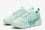 Кроссовки Nike ZOOM COURT PRO CLY FD1156-300 Фото 2