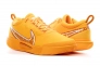 Кроссовки Nike ZOOM COURT PRO CLY DV3277-700 Фото 3