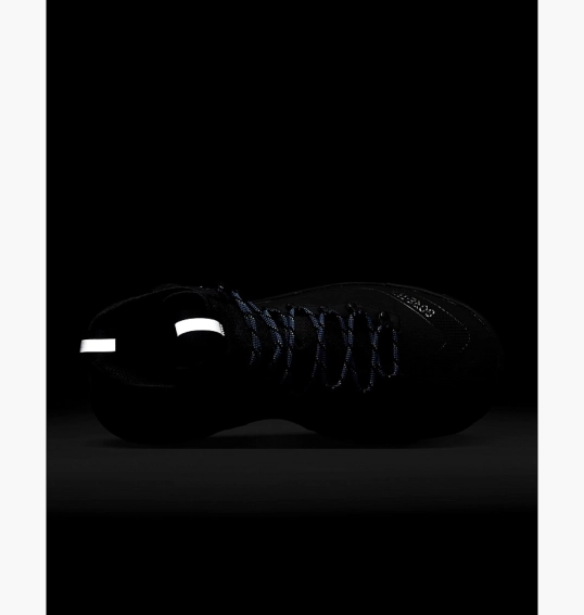 Ботинки Nike Acg Zoom Gaiadome Gore-Tex Black Dd2858-001 фото 22 — интернет-магазин Tapok