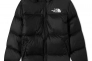 Куртка мужская The North Face 1996 Retro Nuptse Jacket (NF0A3C8DLE4) Фото 4