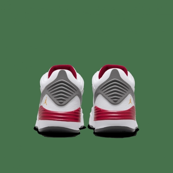 Кросівки чоловічі Jordan Max Aura 5 (DZ4353-160) фото 4 — інтернет-магазин Tapok