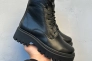 Жіночі черевики шкіряні зимові чорні Dino Richi 185 хутро Фото 1