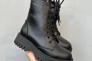 Женские ботинки кожаные зимние черные Edan 78 Фото 1