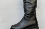 Жіночі черевики шкіряні зимові чорні Emirro А 4 Фото 1