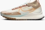 Кроссовки Nike Pegasus Trail 4 Gore-Tex Waterproof Trail Running Shoes Beige/Brown FN8886-181 Фото 12