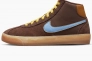 Кеды Nike Sb Bruin High Premium Brown Dx4325-200 Фото 1