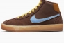 Кеди Nike Sb Bruin High Premium Brown Dx4325-200 Фото 1