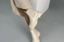 Челсі жіночі шкіряні молочного кольору на молочній підошві зимові. Фото 4