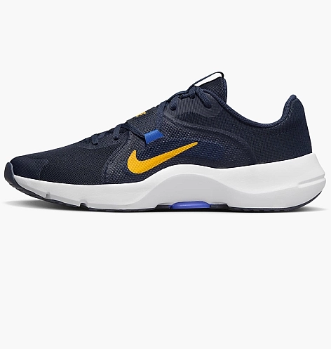 Кроссовки Nike IN-SEASON TR 13 DZ9360-401 фото 1 — интернет-магазин Tapok