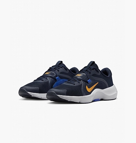 Кросівки Nike IN-SEASON TR 13 DZ9360-401 фото 2 — інтернет-магазин Tapok