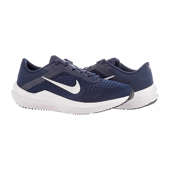 Кроссовки Nike AIR WINFLO 10 DV4022-400 фото 2 — интернет-магазин Tapok