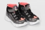 Ботинки для девочки Promax 1800-04 Черный Фото 1
