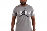 Мужская футболка NIKE MJ JD AIR STRETCH SS CREW DV1445-091 Фото 1