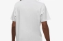 Чоловіча футболка NIKE M J JD AIR STRETCH SS CREW DV1445-100 Фото 2