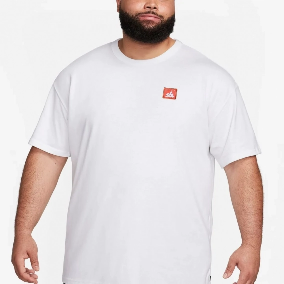 Мужская футболка с длинным рукавом NIKE U NK SB TEE PE SUST FJ1167-100 фото 1 — интернет-магазин Tapok