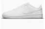 Кросівки Nike COURT RO ALE 2 NN DH3159-100 Фото 1