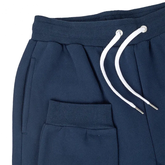 Чоловічі штани Ellesse Granite Jog Pant Синій фото 3 — інтернет-магазин Tapok