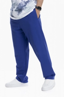 Спортивні штани прямі чоловічі Breezy 23203008 Синій
