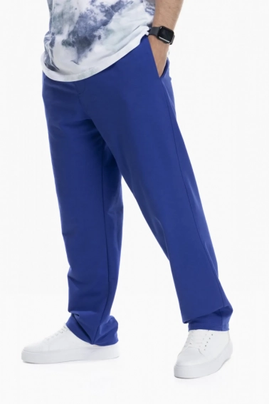 Спортивные брюки прямые мужские Breezy 23203008 Синий фото 1 — интернет-магазин Tapok