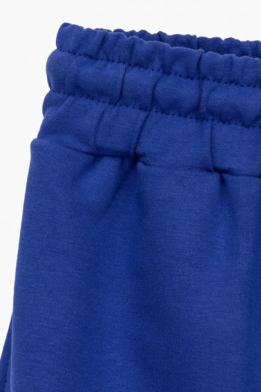 Спортивные брюки прямые мужские Breezy 23203008 Синий фото 8 — интернет-магазин Tapok