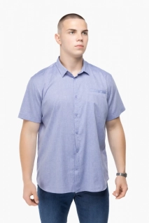 Рубашка классическая однотонная мужская Stendo 235004 Голубой