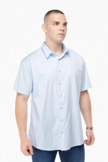 Рубашка классическая однотонная мужская Redpolo 3785 Голубой