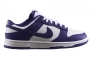 Кроссовки Nike DU LOW RETRO DD1391-104 Фото 2