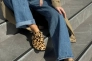 Сабо жіночі замшеві леопардові Фото 3