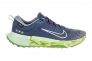 Кросівки Nike JUNIPER TRAIL 2 GTX FB2067-403 Фото 2