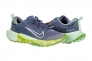 Кросівки Nike WMNS JUNIPER TRAIL 2 GTX FB2065-403 Фото 1