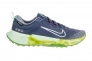 Кросівки Nike WMNS JUNIPER TRAIL 2 GTX FB2065-403 Фото 2