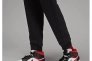 Брюки JORDAN MJ ESS FLC PANT FJ7779-010 Фото 9