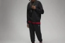 Брюки JORDAN MJ ESS FLC PANT FJ7779-010 Фото 12