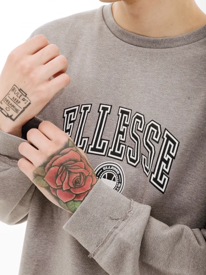 Толстовка Ellesse Vivar Sweatshirt SHV20028-112 фото 3 — інтернет-магазин Tapok