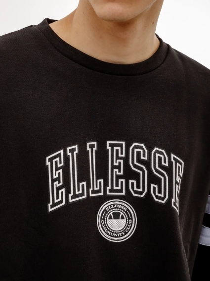 Толстовка Ellesse Vivar Sweatshirt SHV20028-079 фото 4 — интернет-магазин Tapok