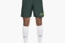 Шорты Nike Academy Dri-Fit Soccer Shorts Green FB6371-328 Фото 1