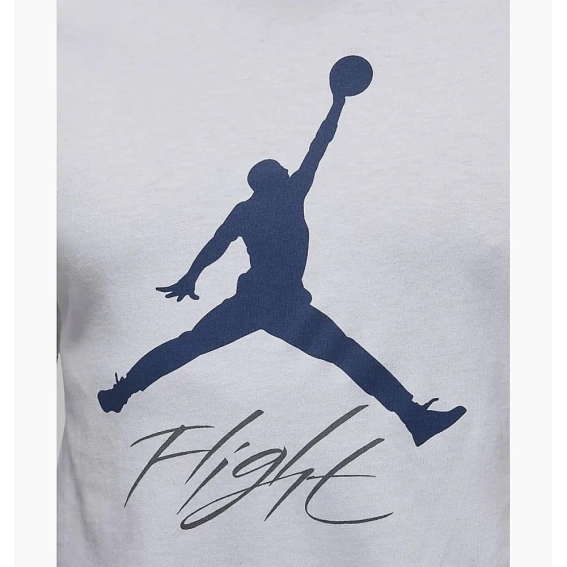 Футболка мужская Jordan Jumpman Flight Men&#39;s T-Shirt (AO0664-102) фото 2 — интернет-магазин Tapok